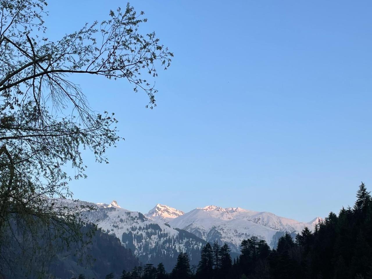 Brostel Hostel Manali  Exterior photo