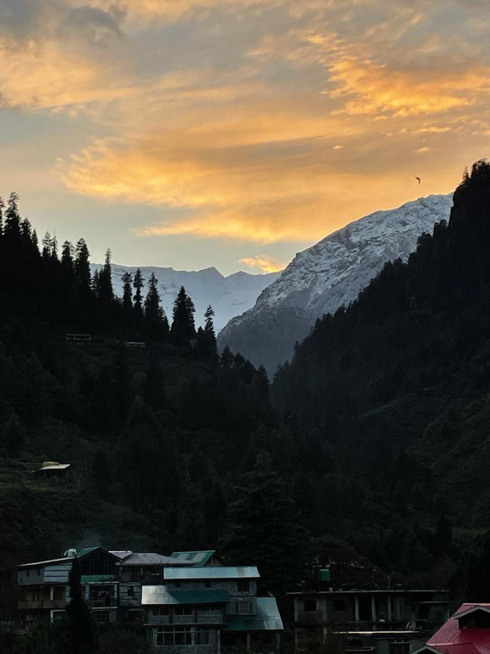 Brostel Hostel Manali  Exterior photo